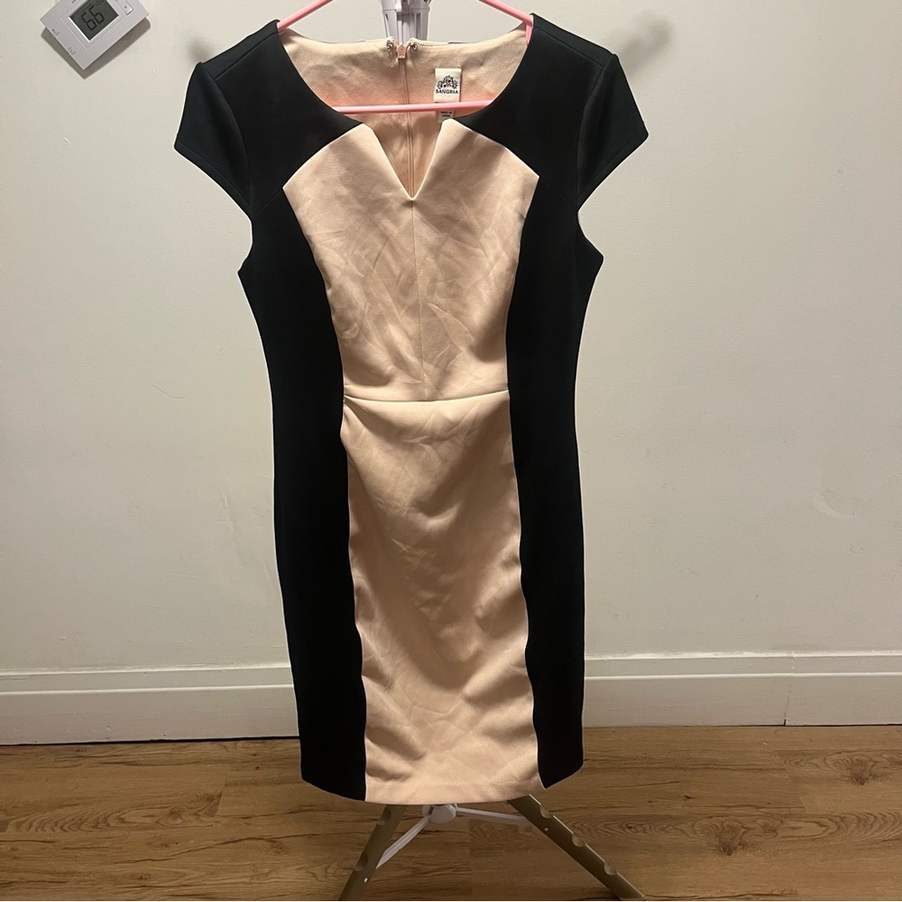 Black and Blush Colorblock Sheath Dress